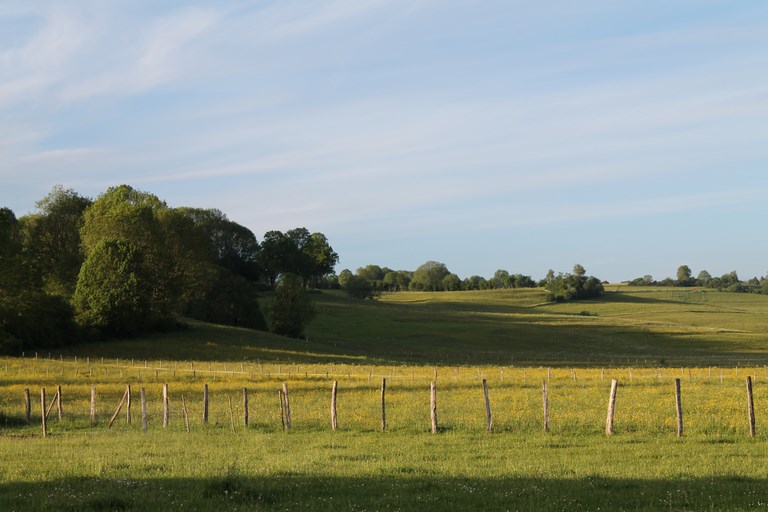 Le Jura en été