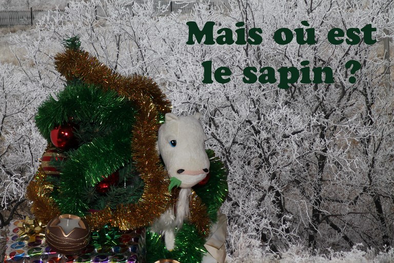 La Chèvre en mission de camouflage pour Noël